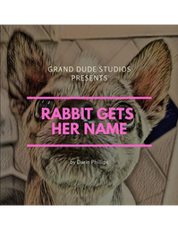 Rabbit Gets Her Name book