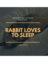 Rabbit Loves to Sleep book
