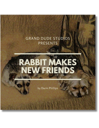 Rabbit Makes New Friends book