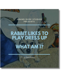 Rabbit Likes to Dress Up - What Am I? book