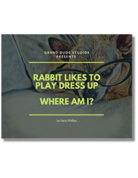 Rabbit Likes to Dress Up - Where Am I? book